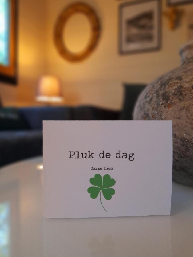 Carpe Diem, Het Ruime Chalet Met Houtkachel Nabij Wildlands Emmen Schoonebeek Dış mekan fotoğraf
