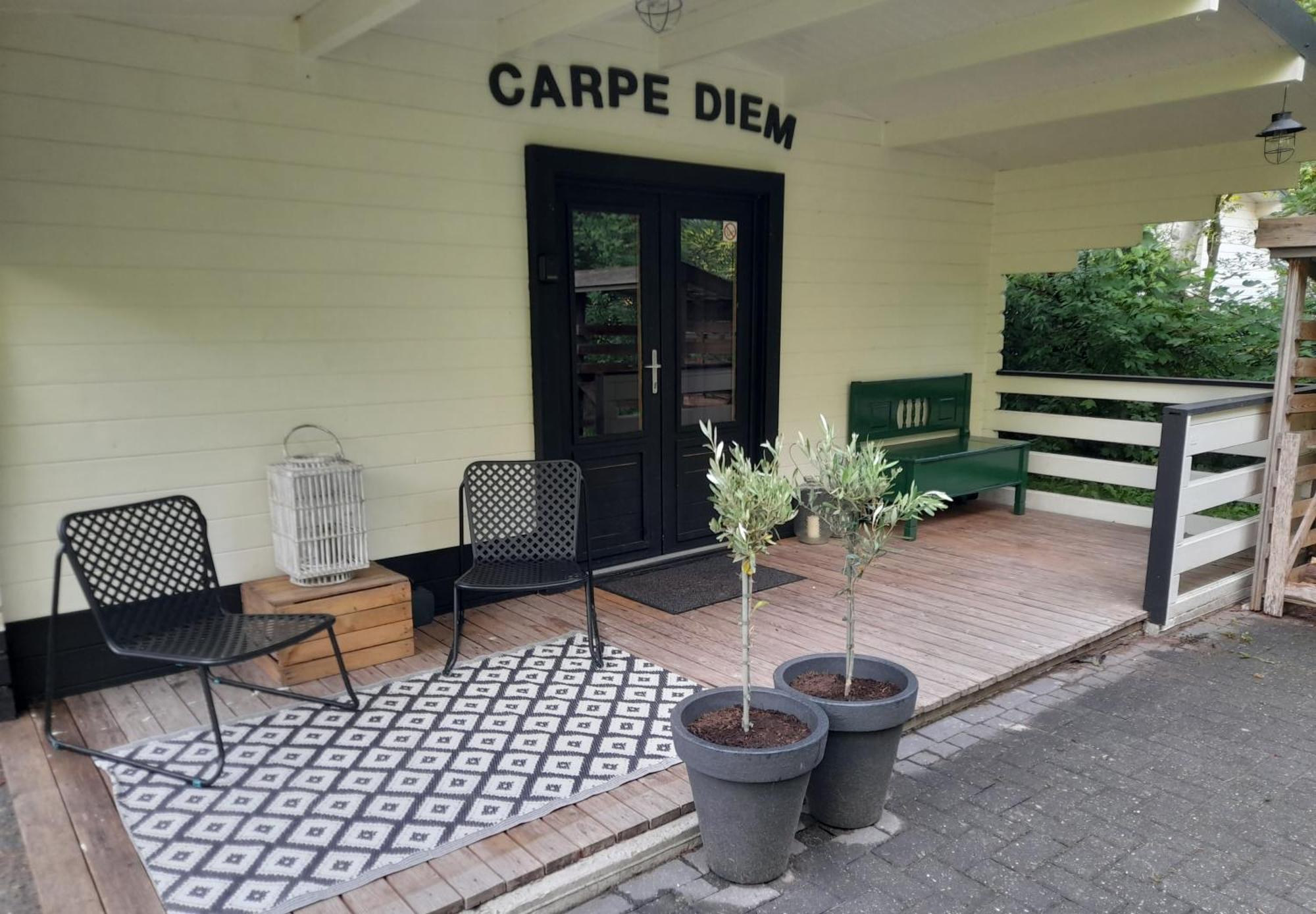 Carpe Diem, Het Ruime Chalet Met Houtkachel Nabij Wildlands Emmen Schoonebeek Oda fotoğraf